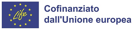 Cofinanziato EU
