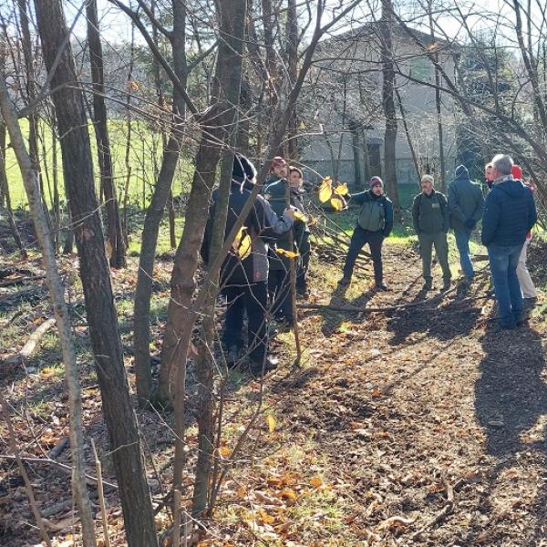 Uscita bosco Bizzarone